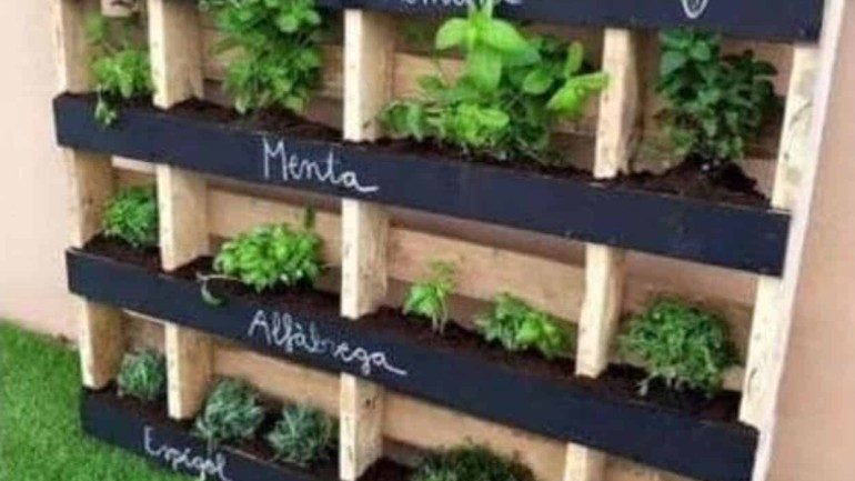 Horta Vertical: A solução prática para cultivar em espaços limitados