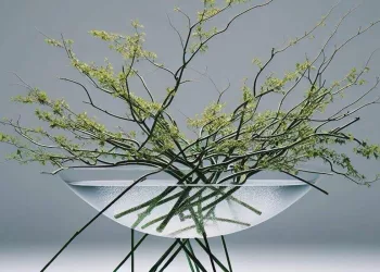 ikebana capa Ikebana: A arte de arranjo floral japonês que traz equilíbrio e beleza para a decoração