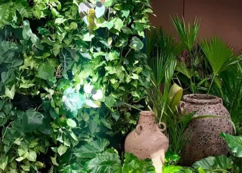 iluminacao foto capa Iluminação Fotossintética: Uma solução para o cultivo de plantas em ambientes internos