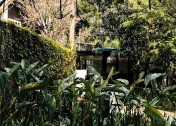 Incorporadora de Curitiba Conquista o Selo GBC Biodiversidade: Pioneirismo Nacional em Sustentabilidade