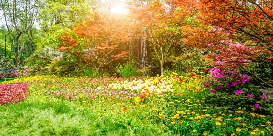 4 plantas que resolvem o problema do canteiro "sem graça"