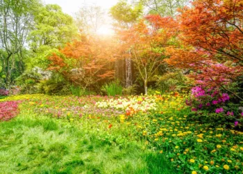 4 plantas para dar contraste no jardim e chamar atenção.