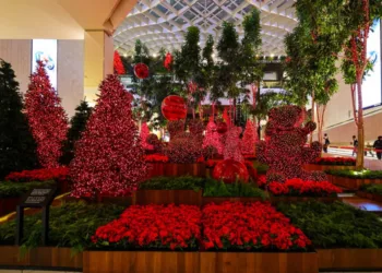 IGUATEMI SÃO PAULO APRESENTA AÇÕES ESPECIAIS DE NATAL