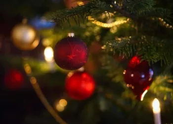 ENEL DÁ DICAS DE COMO DECORAR COM SEGURANÇA E ECONOMIA NESTE NATAL