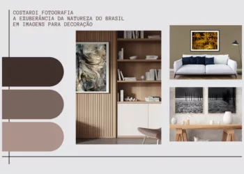 A arquitetura e A Pele da Terra (La Peau de la Terre)