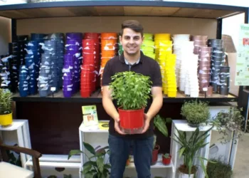 Empreendedores revolucionam o mercado com vasos autoirrigáveis e sustentáveis