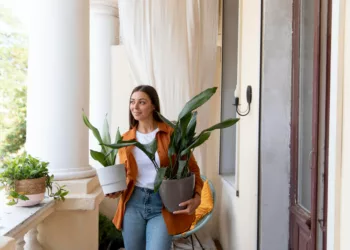 Como criar privacidade na varanda com plantas: soluções criativas e cheias de vida