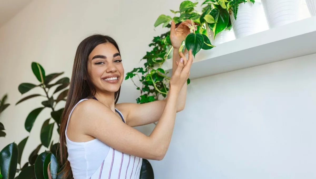 Plantas da Moda 2025: espécies que vão redefinir o estilo da sua casa e jardim