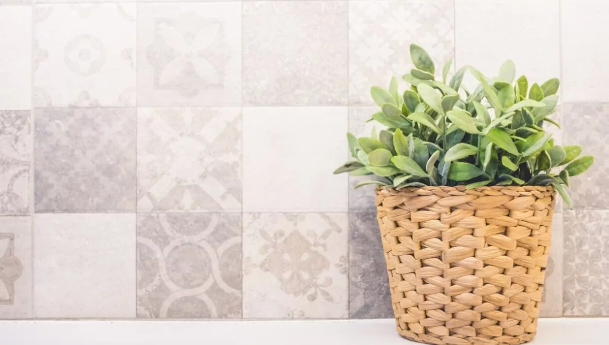 Plantas aromáticas para cultivar na cozinha