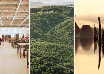 Bienal de Arquitetura de São Paulo 2025 destaca projetos que repensam o mundo diante da crise climática