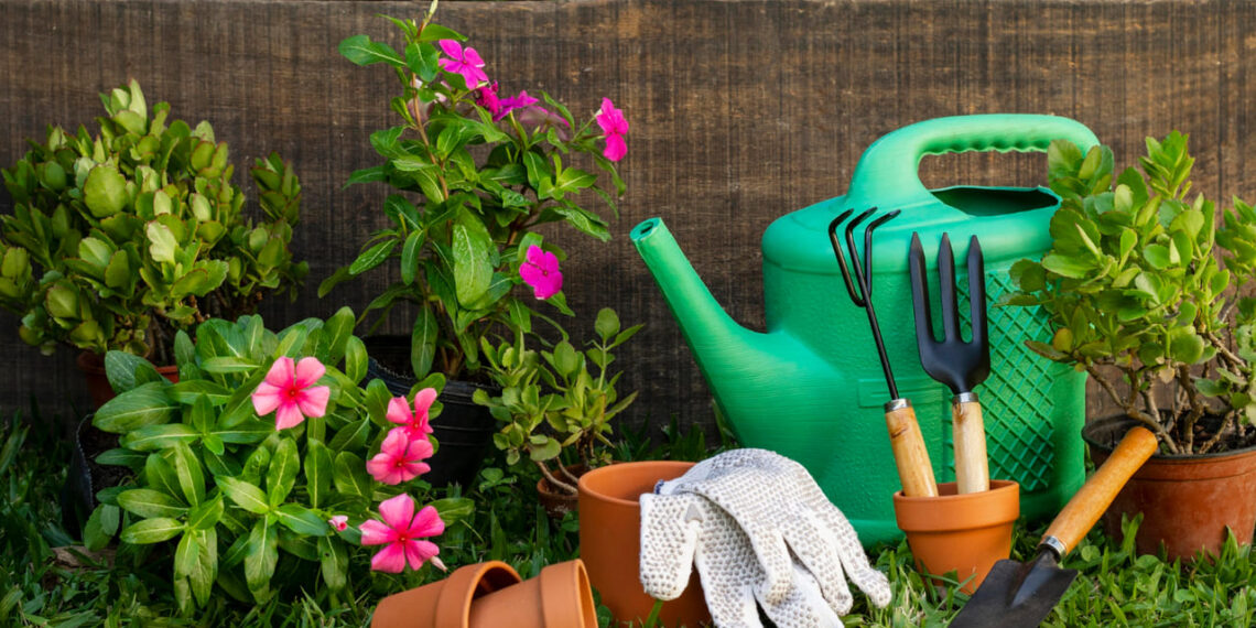 Quer começar na jardinagem? Veja como criar um jardim mesmo sem experiência