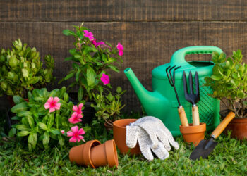 Quer começar na jardinagem? Veja como criar um jardim mesmo sem experiência