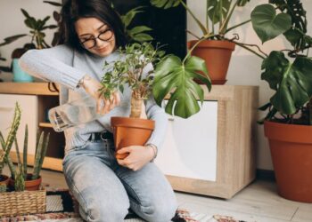 Plantas pendentes que atraem boa sorte: quais espécies funcionam e onde posicioná-las em casa?