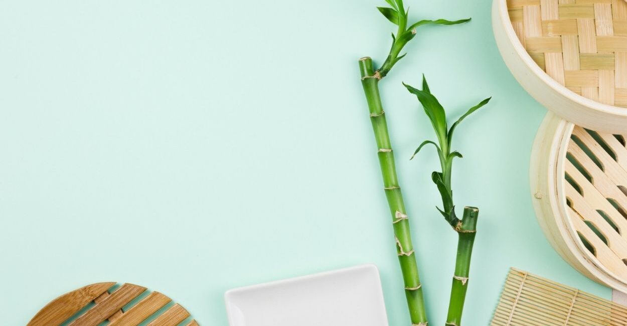 Bambu da Sorte: a planta que decora qualquer ambiente e ainda equilibra a energia da casa